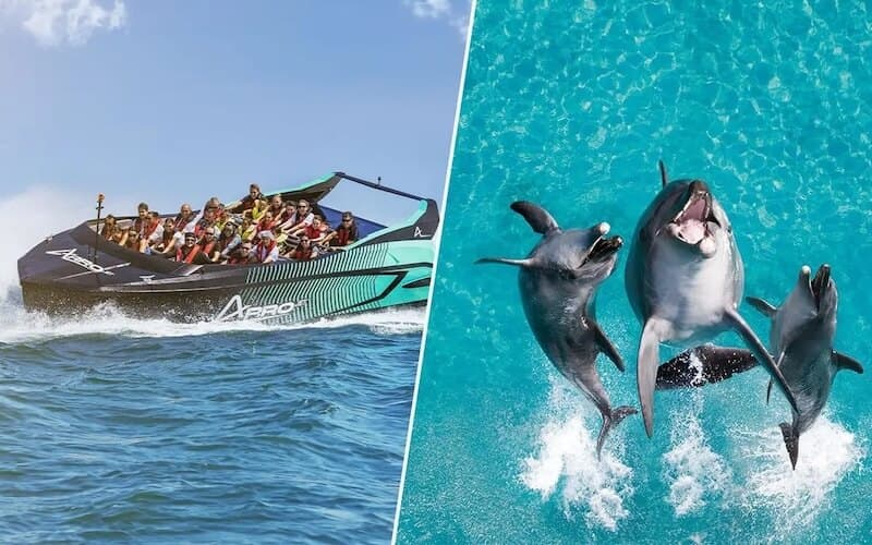 Arro Jet Sea World Entry Combo