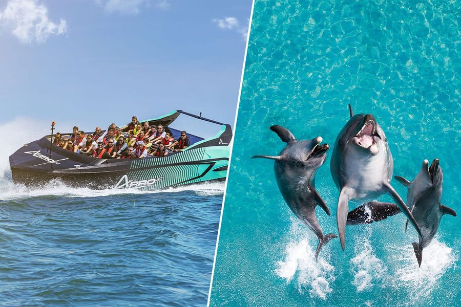 ArroJet and Sea World combo